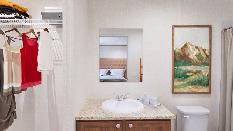 Primary bath and closet