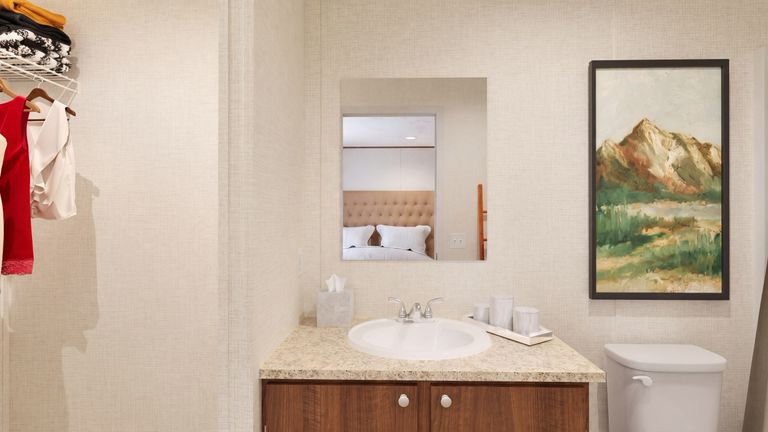 Primary bath vanity
