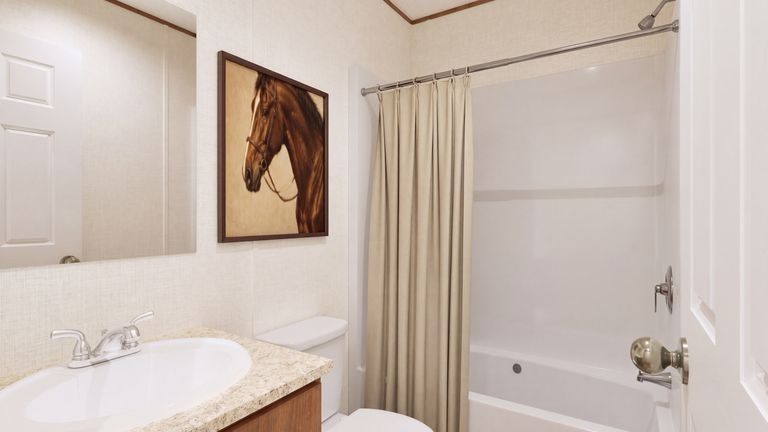 Guest bathroom