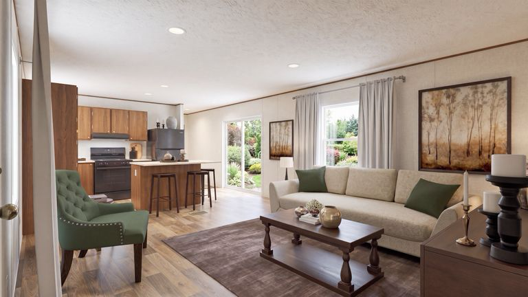 Living room and kitchen